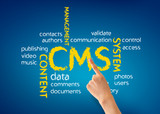 custom content management system